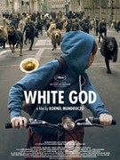 Photo Festival de Cannes 2014 : Gagnant d'Un certain regard, White god offre une belle parabole canine sur l'immigration
